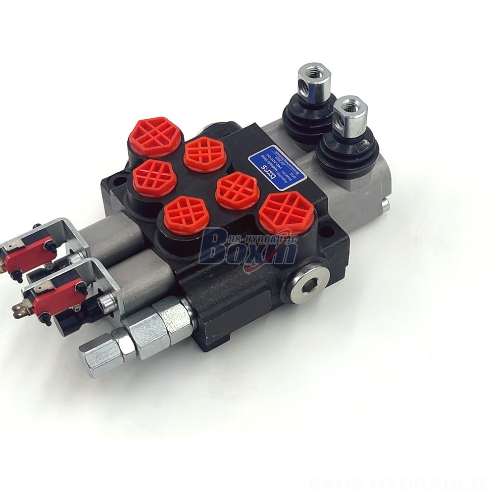 Tailor Your Hydraulics: OEM & ODM Services for P40 Micro Switch Valve detail image